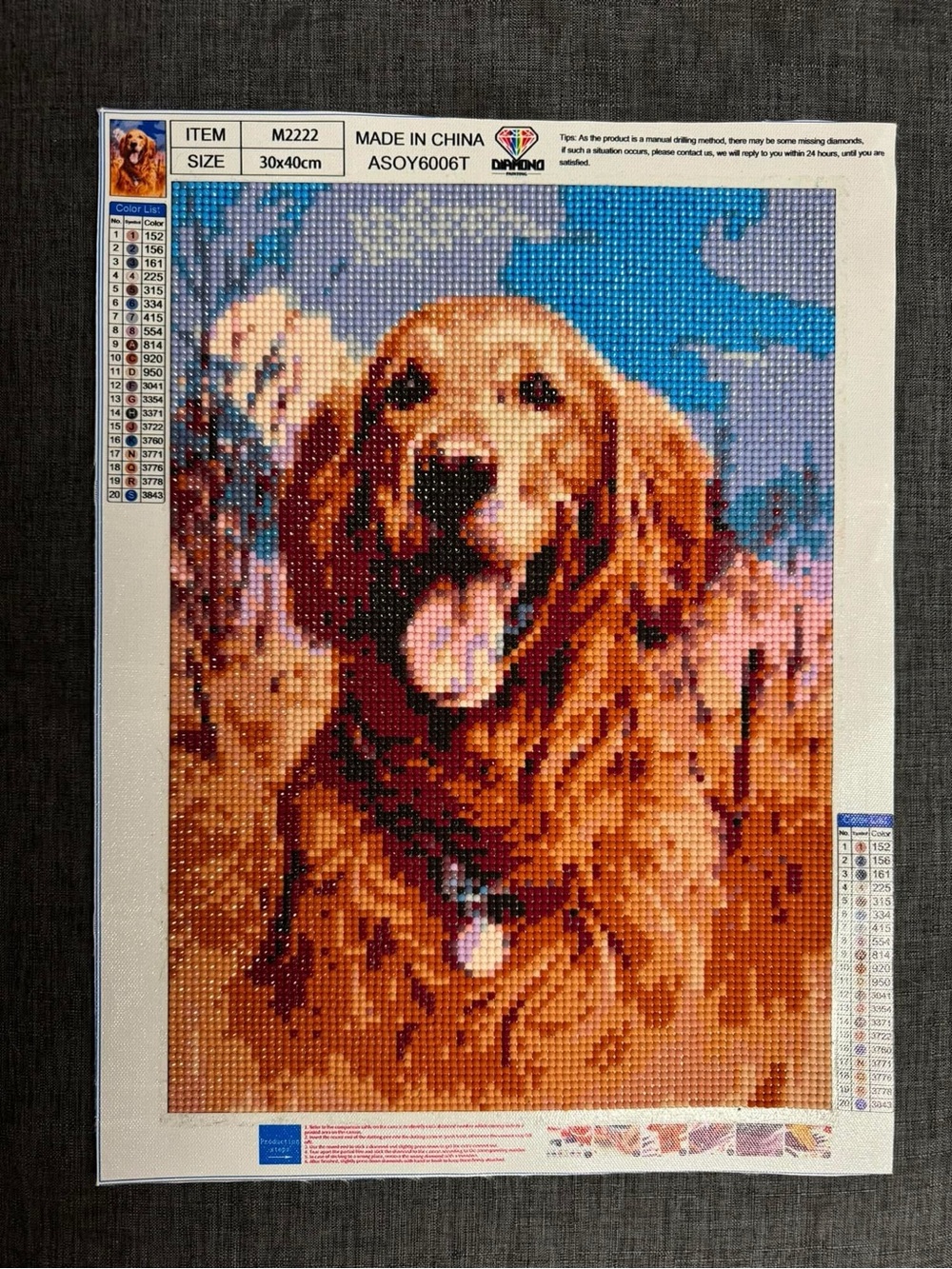 DaVinci Golden Retriever Diamond Painting Kit - Brown, Blue, Pink